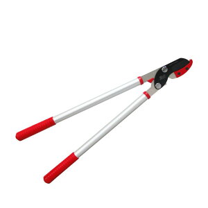 ZACTiUNgj} 650mm [YbhFNo.1204Oz