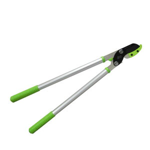 ZACTiUNgj} 650mm AbvO[FNo.1206Oz