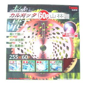 IWOOD@Jb^@`bv\[@RїpEpinj@255×60P@30g@FNo.98137×30 ACEbh