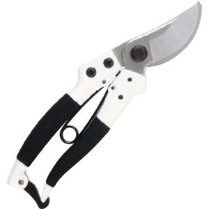 J}L@vp֐n@200mmiȐnj@FNo.P880 ݖ{_H쏊