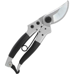 J}L@vp@180mmiȐnj@FNo.P870A ݖ{_H쏊