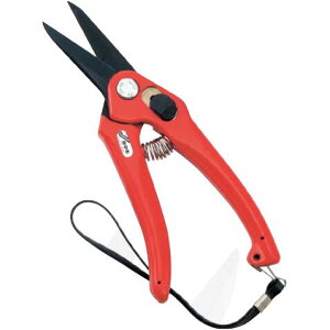 J}L@yʃ^Cv@195mminj@FNo.P901 ݖ{_H쏊