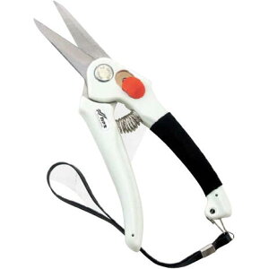 J}L@YfXeX@yʃ^Cv@195mminj@FNo.P901S ݖ{_H쏊