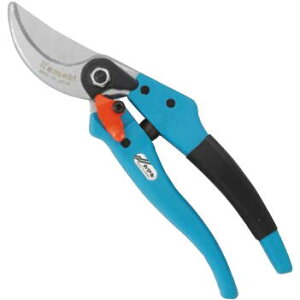 J}L@OXt@Co[@200mmiȐnj@FNo.P881 ݖ{_H쏊