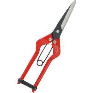 J}L@Ỏ@210mm@FNo.720D ݖ{_H쏊