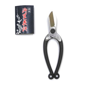 P  D-55H^(jؕt) FNo.215IJclE()P