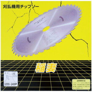 SAFEZteB[ U^Ȃ 255×25.4×40P 5gEѓSH
