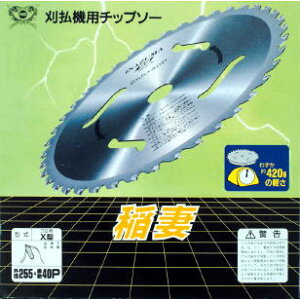 SAF�E�Z�t�e�B�[ ���X�^ 230×25.4×36P 10���g�������E���ѓS�H����