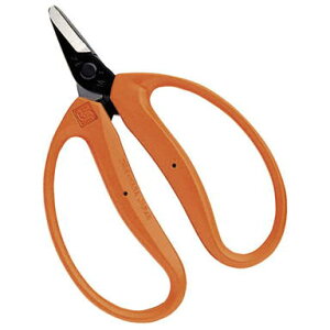 �ߐ� �݂����� ���n 145mm BP�FM-100���`�J�}�T�ECHIKAMASA��