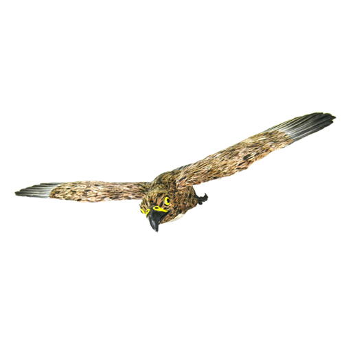 鳥追い 小鷹　全翼長約60cm(防鳥・害鳥対策用)