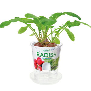 yX[p[SALEzyzFreshFeel ͔|Zbg tbVtB[ GD-819 ͔|Lbg n[u K[fjO v[g Mtg 蕨 ̓ ̓ hV̓ ϗtA CeAO[ 