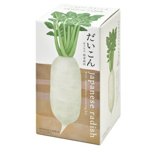 yzō ͔|Zbg GD-891 ͔|Lbg 卪 lQ S{E  K[fjO v[g Mtg 蕨 ̓ ̓ hV̓ ϗtA CeAO[