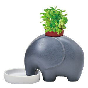 yzGvg GD-955 eleplant ]E   ͔|Zbg Lbg n[u K[fjO v[g Mtg 蕨 ̓ ̓ hV̓ ϗtA CeAO[ ˏ Aؔ 