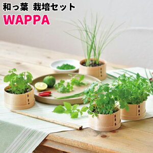 yz3Zbg S3 e1 at ͔|Zbg GD-956 WAPPA Lbg K[fjO v[g Mtg 蕨 ̓ ̓ hV̓ ϗtA Ȃ V\ h t Ot ~co 
