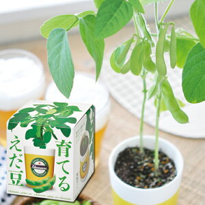 yz܂ ͔|Zbg GD-979 | Lbg K[fjO v[g Mtg 蕨 h tx ċx ώ@ R ̓ ̓ hV̓ ϗtA CeAO[   