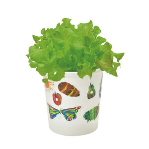 ySALEzyz͂؂ނ y^y^͔|Zbg BOX HP-01 | Lbg K[fjO v[g Mtg 蕨 h tx ċx ώ@ R ̓ ̓ hV