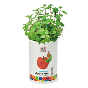 yz͂؂ނ Ȃ悵͔|Zbg BOX HP-02 | Lbg K[fjO v[g Mtg 蕨 h tx ċx ώ@ R ̓ ̓ hV̓ ϗtA ~g 