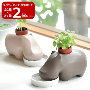 yz2Zbg q||vg GD-982 Jo Aj} ͔|Zbg Lbg n[u K[fjO v[g Mtg 蕨 ̓ ̓ hV̓ ϗtA CeAO[ Aؔ 