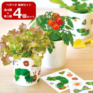 yz4Zbg ͂؂ނ y^y^͔|Zbg BOX HP-01 | Lbg K[fjO v[g Mtg 蕨 ̓ ̓ hV̓ ϗtA g}g 卪 ^X 