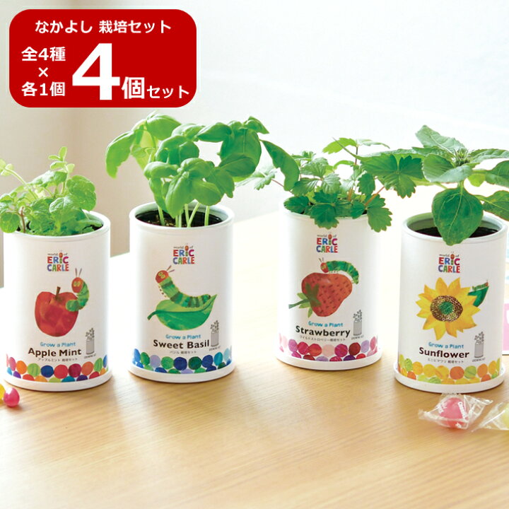 楽天市場】【送料無料】4個セット はらぺこあおむし なかよし栽培 