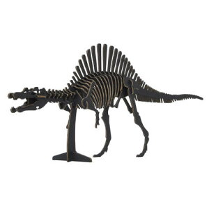 ySALEzyzhacomo Dinosaur nR _Ci\[  XsmTEX BLACK ubN  ߋ  g H _{[ Ntg w tx GW ċx ~x h HLbg