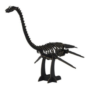 ySALEzyzhacomo Dinosaur nR _Ci\[  t^oTEX BLACK ubN  ߋ  g H _{[ Ntg w tx GW ċx ~x h HLbg