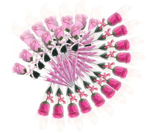 \[vt[ 24{Zbg@KN  ʕ ͂Ȃ Mtg (sN×bh)