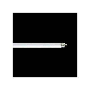  ǌu O[X^[^` 4W F FL4W