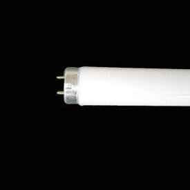 東芝 直管蛍光灯 40W形 昼白色 ラピッドスタート形 メロウホワイト [10本セット] FLR40S・N/M-10SET