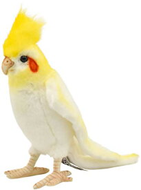BH6457 HANSA オカメインコ21