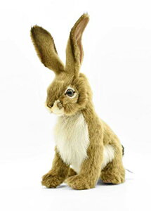 nT(HANSA) WbNrbg ʂ 22x13x30cm AN No.5911