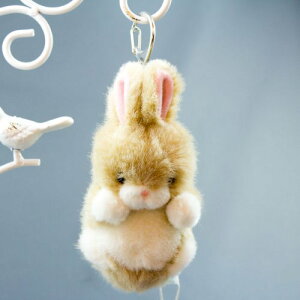 ̂ v`v`ǂ[ L[z_[ ETM  ʂ 68320