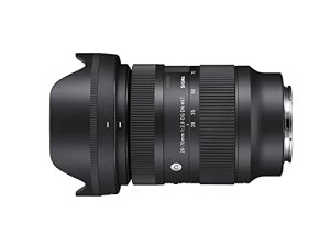 28-70mm F2.8 DG DN SE}Egp