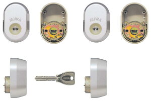 MIWA(abN)GAF+FEpPRV_[(OA~EVy)2L[MCY-516