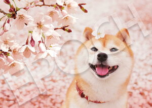 G|bN 108s[X WO\[pY /ybg  t! (18.2×25.7cm) 01-075 ̂t wt _t EPOCH