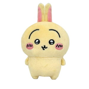 o_CiRkC(Bandai Namco Nui)  ʂ Play Charm  6113