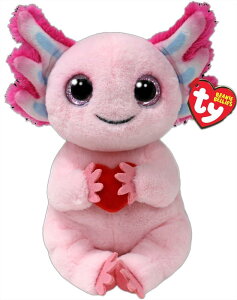 ^C(Ty) ʂ Beanie Bellies bL[ (M) 41292