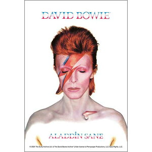 �A�b�v������(APPLEONE) 120-016 �f���B�b�h�E�{�E�C ALADDIN SANE (�A���W�� �Z�C��) David Bowie ���R�W���P 120�s�[�X(14.7x10cm) �W�O�\�[�p�Y�� �|�X�g�J�[�h�T�C�Y �~�j�p�Y�� ���{��