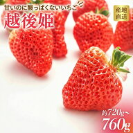 いちご ギフト 贈答用 ご自宅用 760g 24〜30粒 越後姫 斉藤いちご園 産地直送 化粧箱入 苺 イチゴ 新潟県産