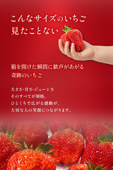 ダイヤモンド越後姫｜こんなサイズのいちご見たことない、箱を開けた瞬間に歓声があがる特大いちご