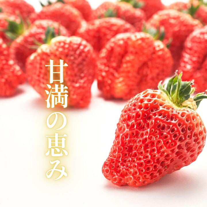 ダイヤモンド越後姫甘満の恵み高級イチゴギフト用の苺イメージ画像