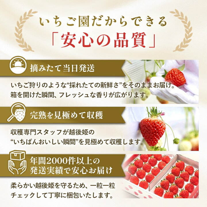 越後姫の安心品質｜摘みたて当日発送・完熟を見極めて収穫・年間2000件以上の発送実績で丁寧にお届け