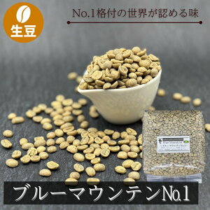 �u���[�}�E���e�� No.1 �R�[�q�[���� Washed �E�H�b�V���h 100g 1kg �W���}�C�J�Y �ō����� �u���}�� ������ �����R�[�q�[�� �X�y�V�����e�B�R�[�q�[ ���������p �󏭓� �R�[�q�[�̉��l �o�����X