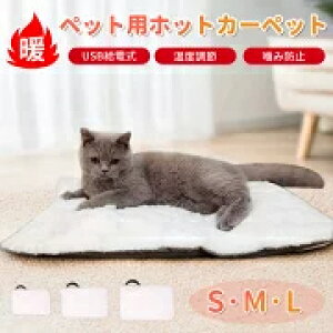 yZ[Si10%OFFzybgq[^[ ybgpzbgJ[ybg h΍ ??ی ݖh~ h  ȃGl ybgpzbgJ[ybg q[^[}bg  L Ȃǂ̏ 