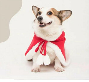 y}\Z[Si10%OFFzybgNX}X}g ybgT^ߑ NX}X T^[u P[v L   ߑ RX`[ ^ ^ ˂  