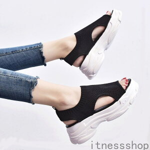 V T_ fB[X  bV X|[cT_ ʋC ؍ JWA ₷ ɂȂ  킢 3F o^C