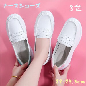 V RC i[XV[Y D^ Xj[J[ fB[X  jO EH[LOV[Y y N _CGbg i[X ʋ ₷ Ȃ Xb| ʋC Xj[