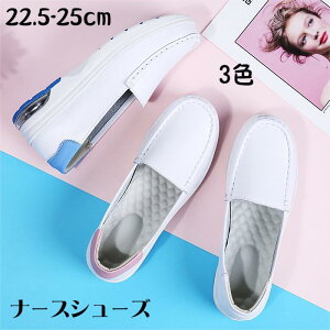 V fB[X C i[XV[Y Xb| y ʋC D^ r EH[LOV[Y ʋ Ȃ 40 ꂢ L b p Ōt V[Y GANbV lC 