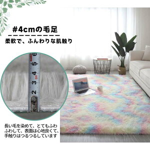 送料無料 ラグ ラグマット ラグカーペット マイクロファイバー 北欧 おしゃれ カーペット 洗える 北欧 rug ウォッシャブル 玄関マット ベッドサイド アクセント ラグ 床暖房 ホットカーペッ