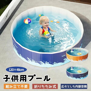 �q���p�v�[�� �ƒ�p�v�[�� ��C����s�v �v�[�� �܂肽���ݎ� �g���s�v �~�` 120*48cm ���[�֗� ���i��PVC�f�� �L���r���� ���V�� �c